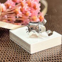 Berloque Dentista Prata 925