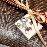 Berloque Medicina Prata 925 Berloque Medicina Prata 925