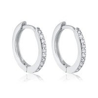 Brincos Argolas Cravejada Prata 925