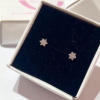 Brincos  Flor Rosa Tarraxa Baby Prata 925