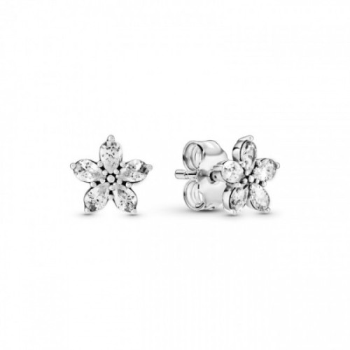 Brincos Flores Prata 925 