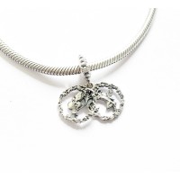 Pingente  Princesa Tiane e o Sapo Prata 925