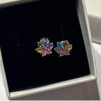 Brincos Patinha Pet Coração colorido Prata 925